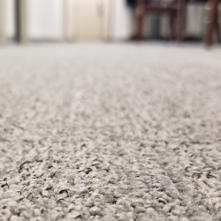 Carpet