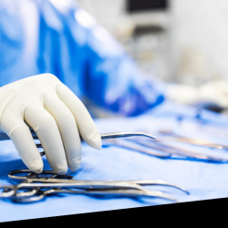Pet Spay and Neuter Surgery