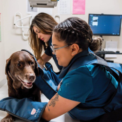 Radiology & Lab	