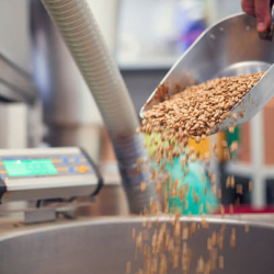 Food Processors