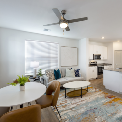 Ceiling Fan in Bedroom & Living Room