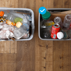 Recycling Simplified