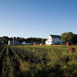 USDA Loans