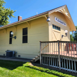 Deck and Fence Painting/Staining