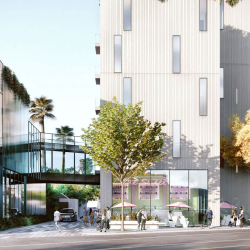 Loan Monitoring / Lender Representation