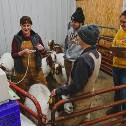 Animal Science Major