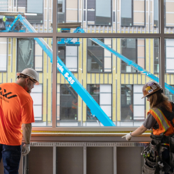 Occupational Medicine 