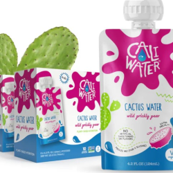 Prickly Pear Kids Pouches