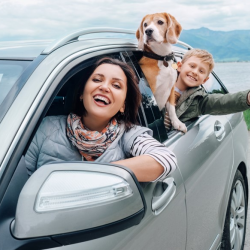 Auto Insurance