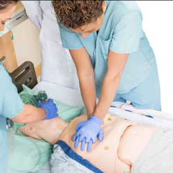 Basic Life Support for Healthcare Providers (AHA)