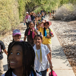 Guided Field Trips