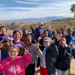 Professional Guidance & Support