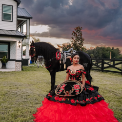 Quinceañera & Sweet 16 Dresses