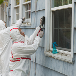 Lead Paint Removal