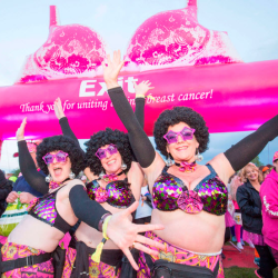 Donation of in-kind Support