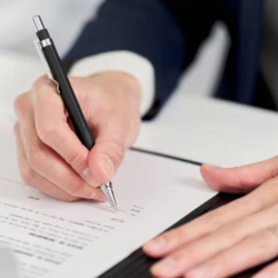 Business License