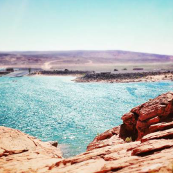 Commercial Real Estate Transactions