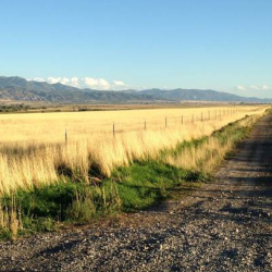 Agricultural Real Estate Transactions