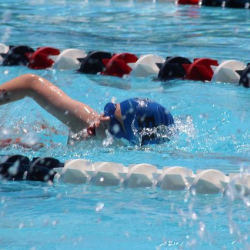 Learn to Swim Program