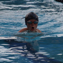 Competitive Swim Training