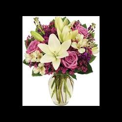 Romance Gifts & Flowers