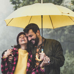 Umbrella Insurance