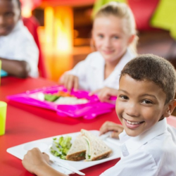 Health and Wellness Programs