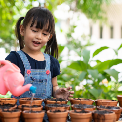 Outdoor Play & Exploration