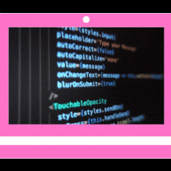 Website Design & Development