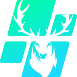 Branding & Logo Design