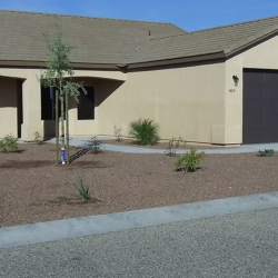 Sunset Palms Model Home