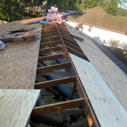 Shingle Roof Repair