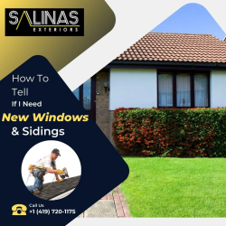 Windows