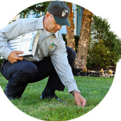 Lawn Care Services