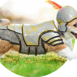 Lawn Pest Control
