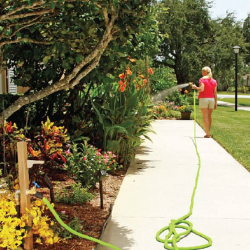 Tree and Shrub Care