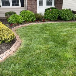 Stamped Curbing 