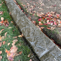 Spring / Fall Cleanup