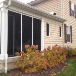 Window Repair