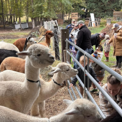 Permaculture Workshops