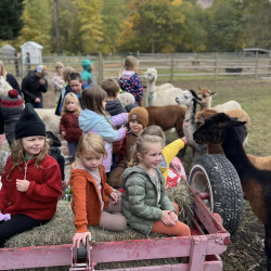 Field Trips and Educational Experiences