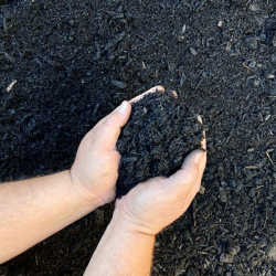 Ground Cover (mulches,soils)