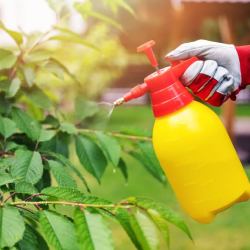 Mite & Insect Sprays