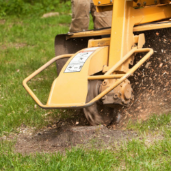 Stump Grinding and Removal
