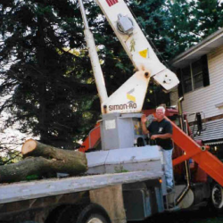 Crane-Assisted Tree Services
