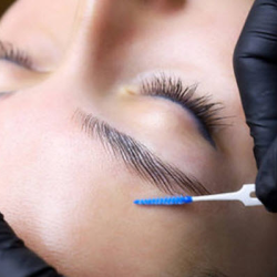 Eyebrow Lamination