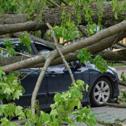 Specialized Disaster Claims