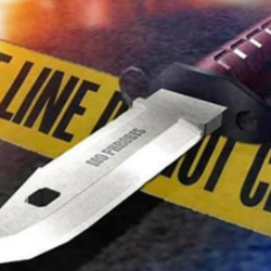 Police and Court Reports