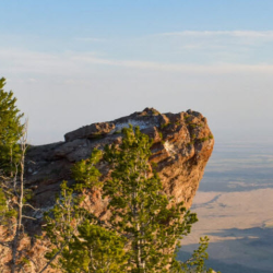 City Council & Planning Meetings