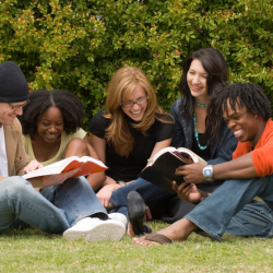 Study Groups and Peer Support